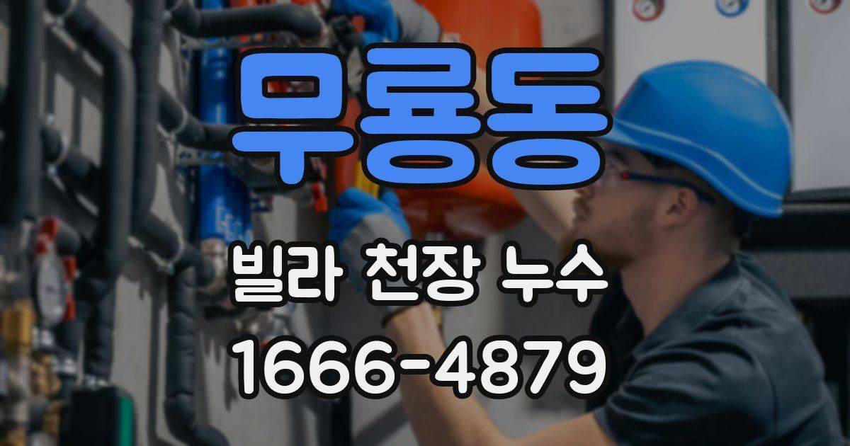 무룡동 빌라 천장 누수