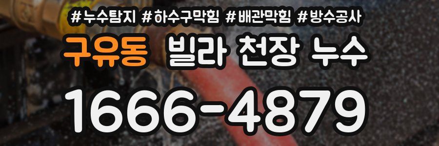 구유동 빌라 천장 누수