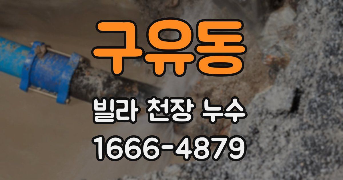 구유동 빌라 천장 누수