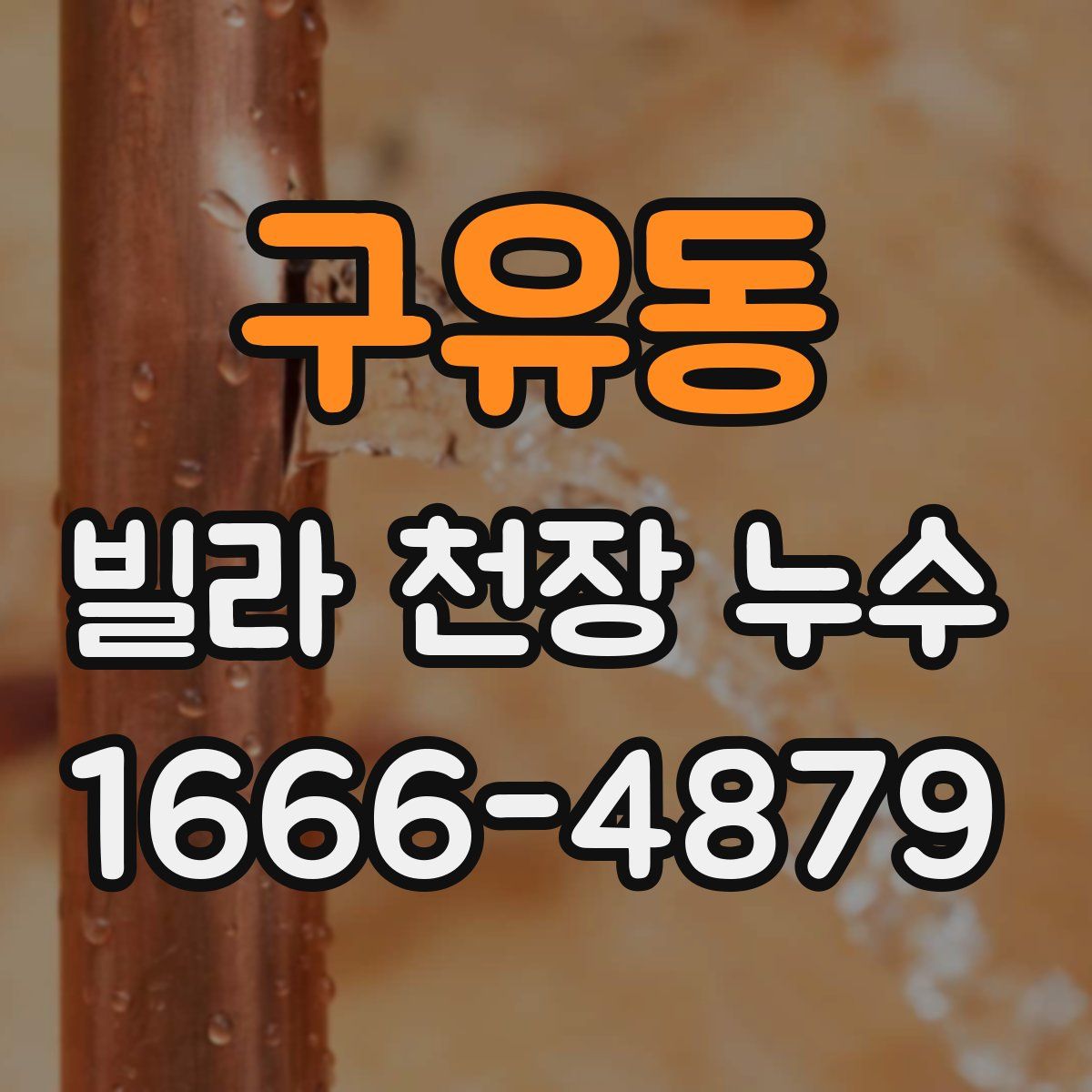 구유동 빌라 천장 누수
