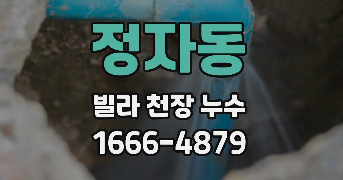 정자동 빌라 천장 누수