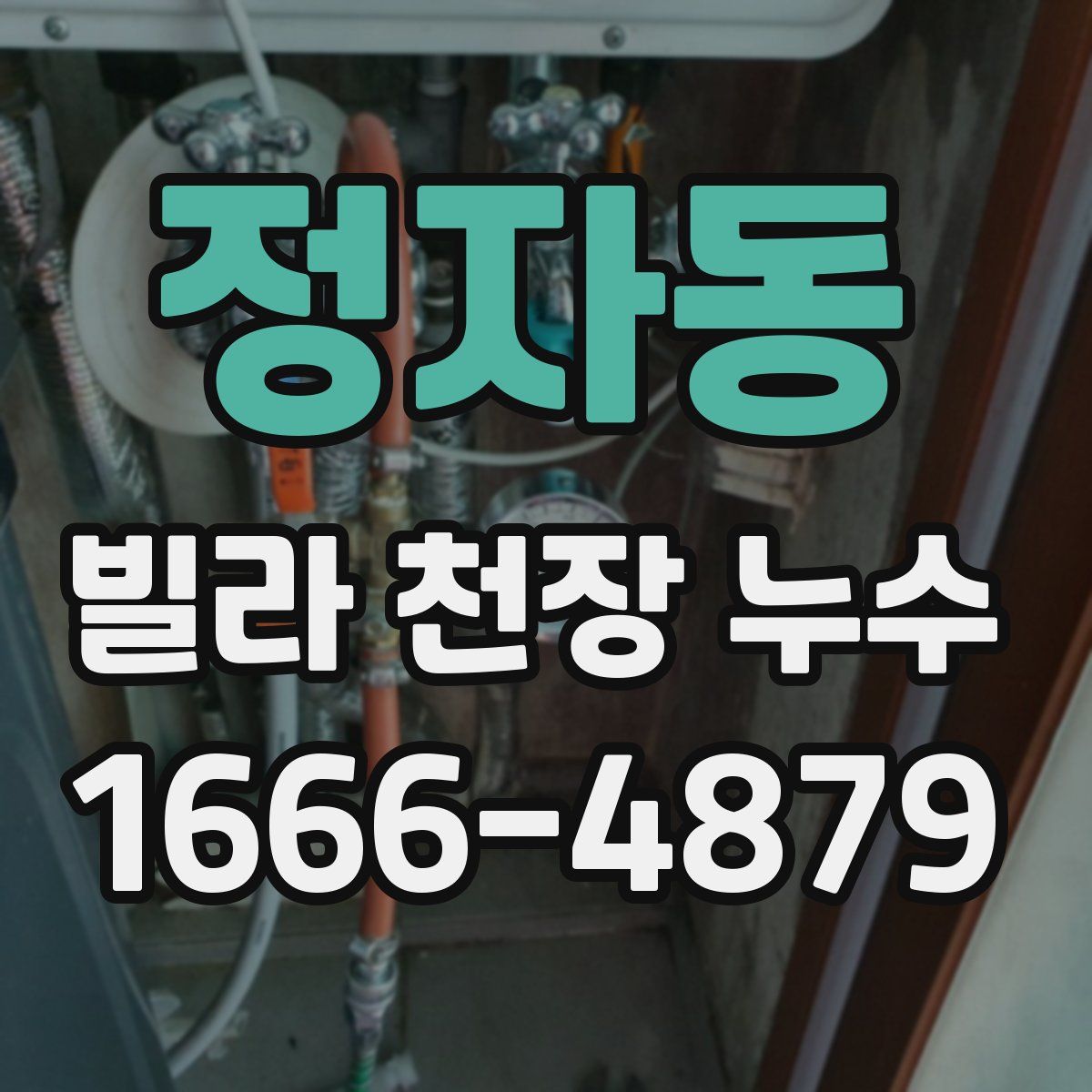 정자동 빌라 천장 누수