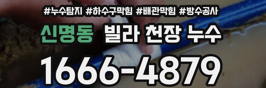 신명동 빌라 천장 누수