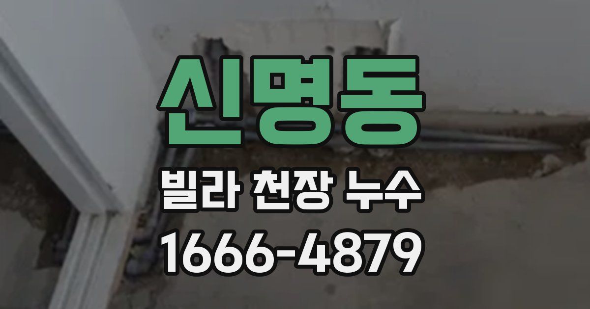 신명동 빌라 천장 누수