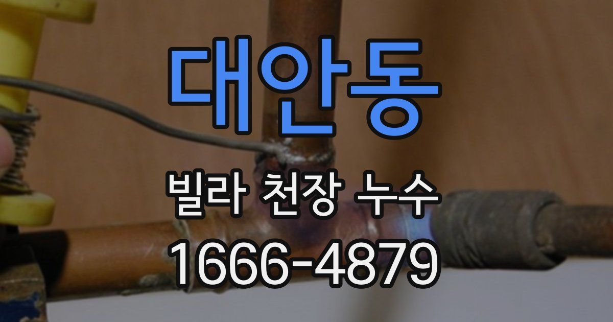 대안동 빌라 천장 누수