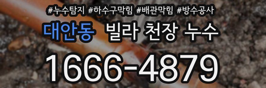 대안동 빌라 천장 누수