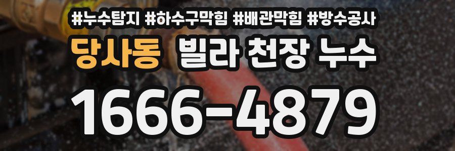 당사동 빌라 천장 누수