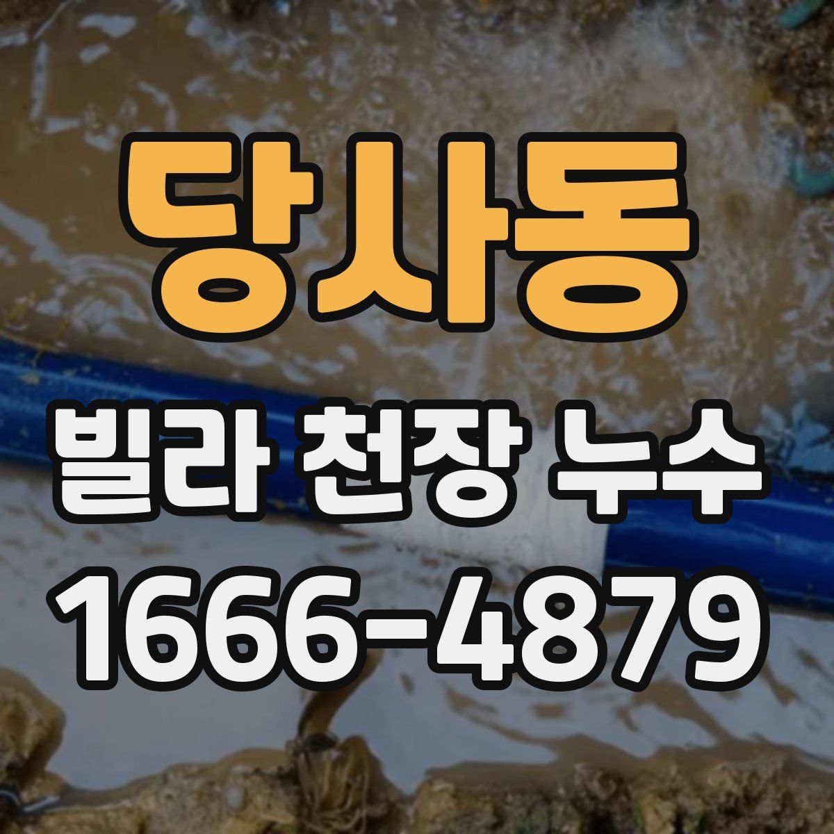 당사동 빌라 천장 누수