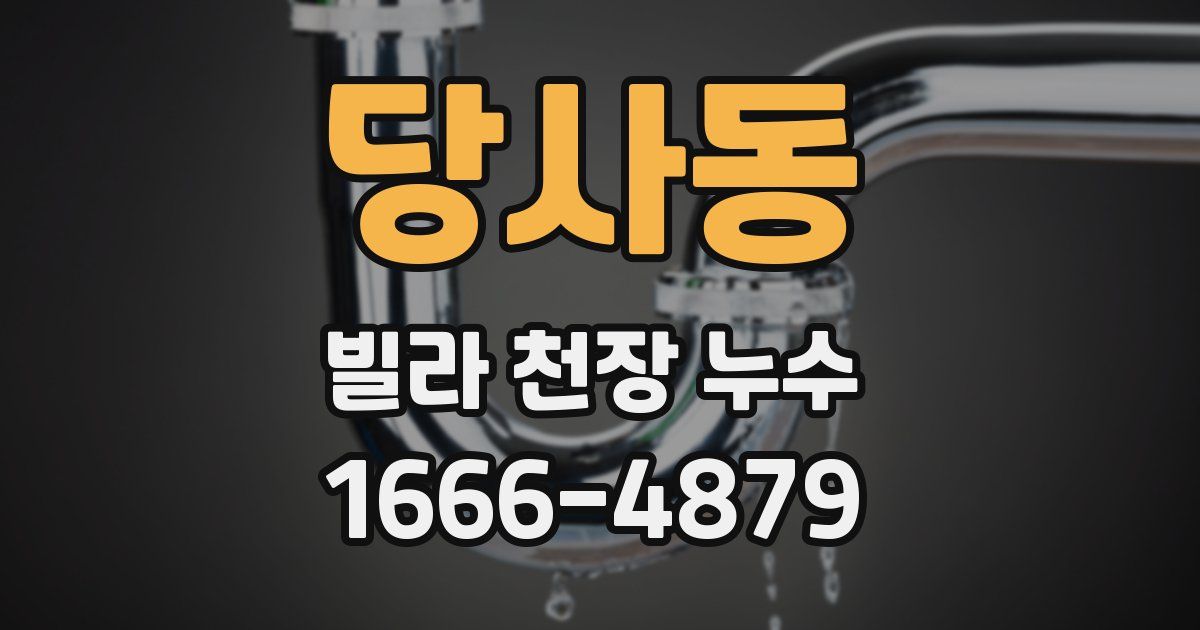 당사동 빌라 천장 누수