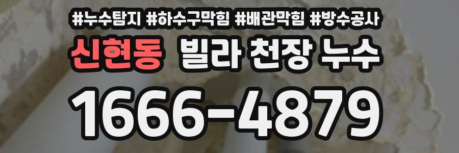 신현동 빌라 천장 누수