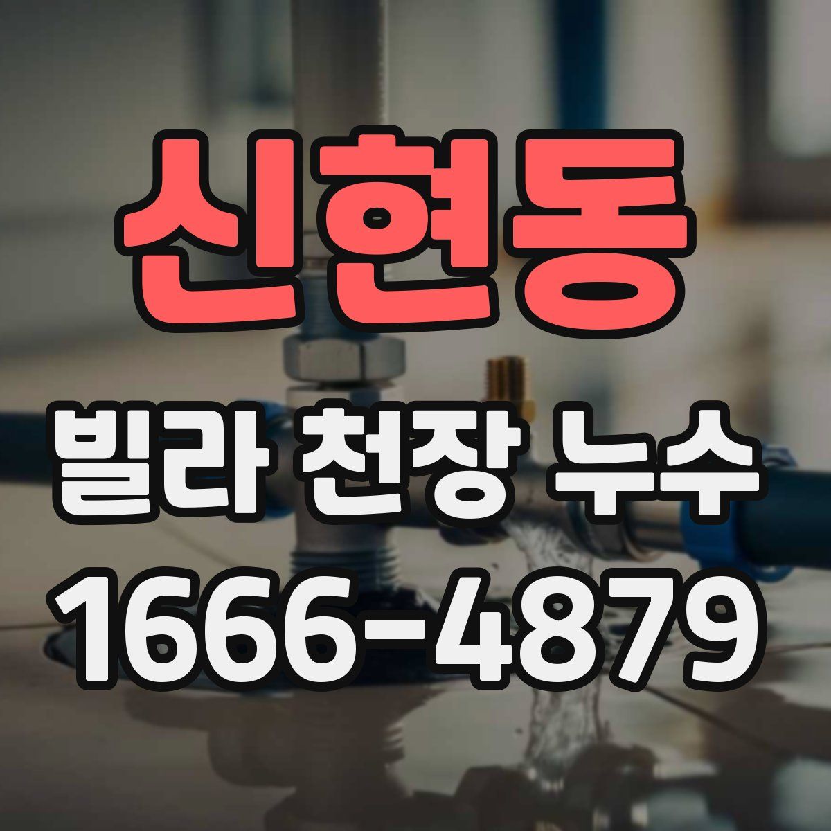 신현동 빌라 천장 누수