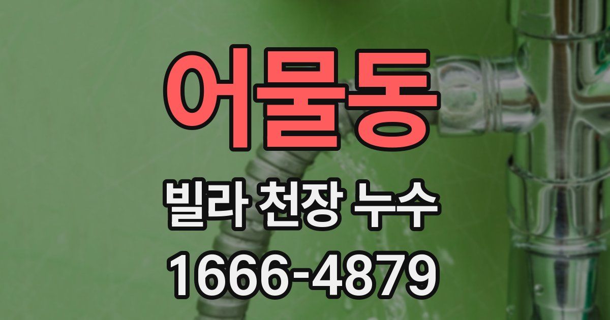 어물동 빌라 천장 누수