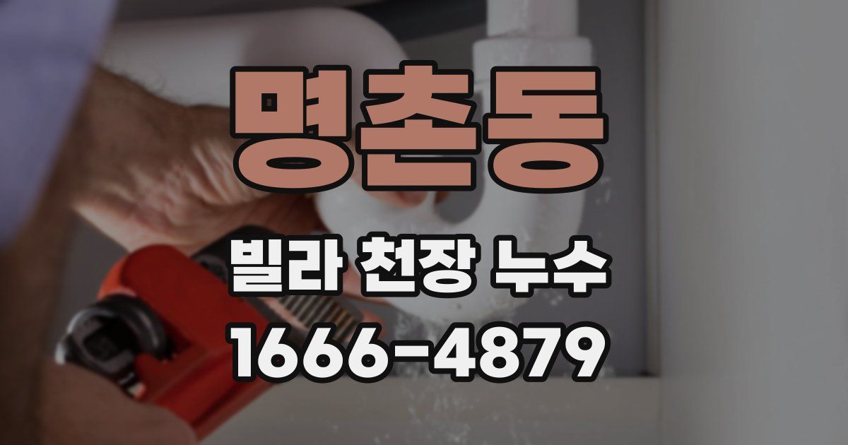 명촌동 빌라 천장 누수