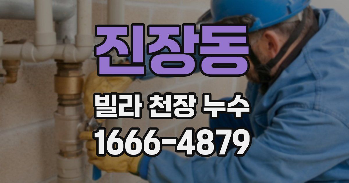 진장동 빌라 천장 누수