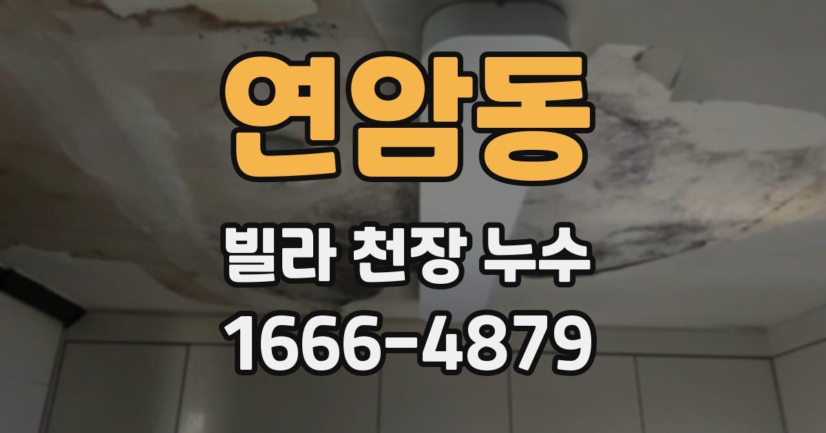 연암동 빌라 천장 누수