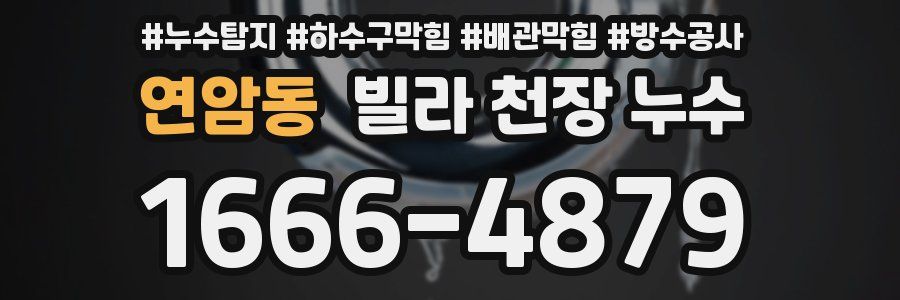 연암동 빌라 천장 누수
