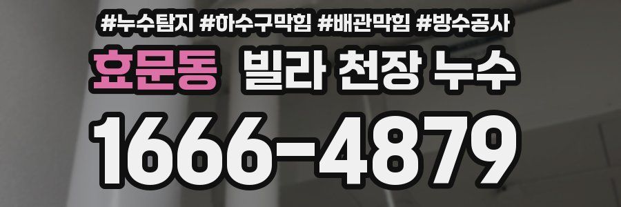 효문동 빌라 천장 누수