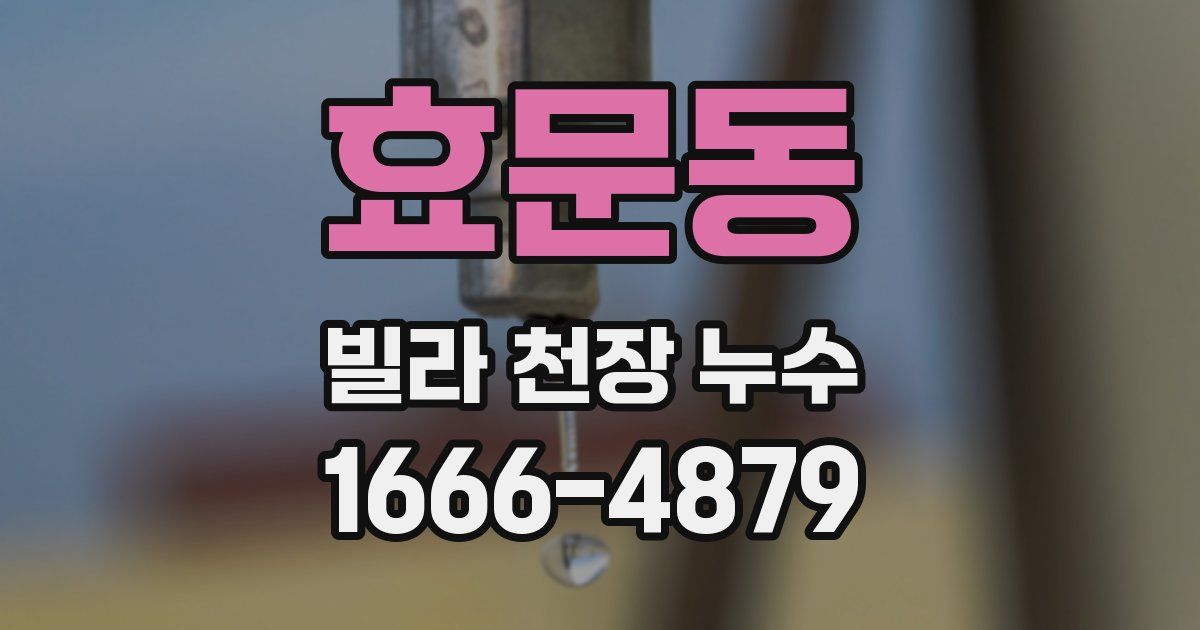 효문동 빌라 천장 누수