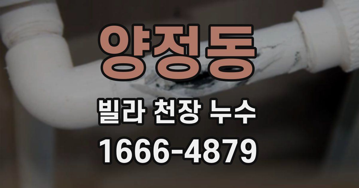 양정동 빌라 천장 누수