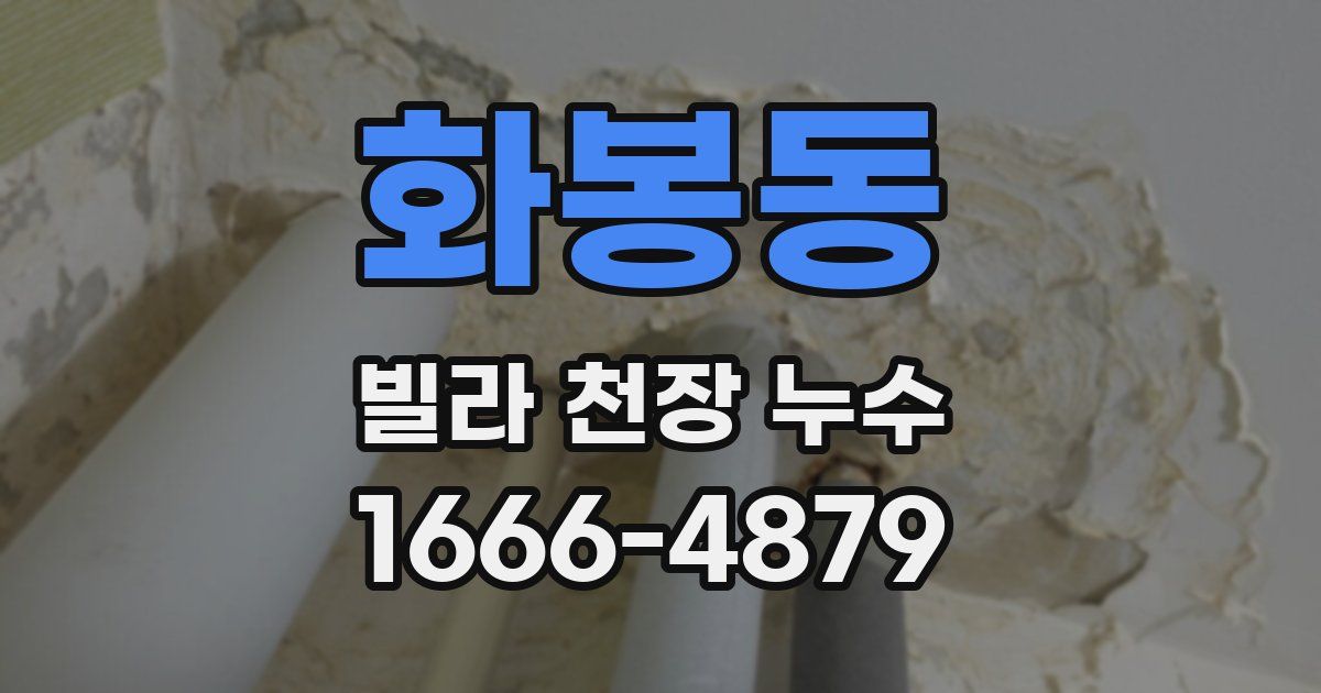 화봉동 빌라 천장 누수