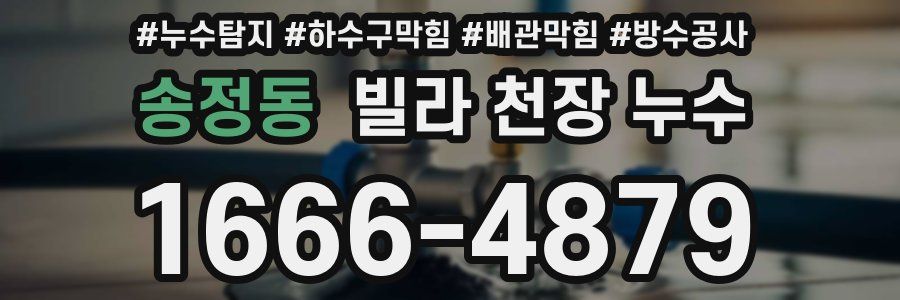 송정동 빌라 천장 누수