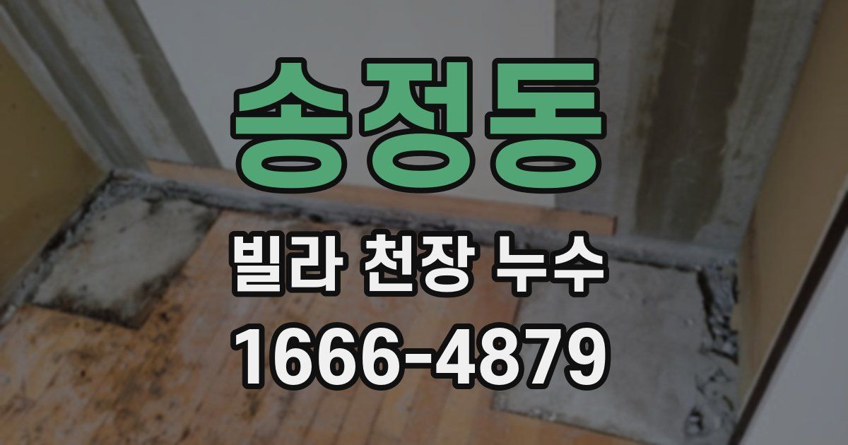송정동 빌라 천장 누수