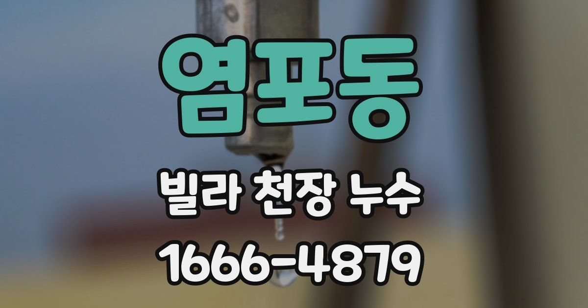 염포동 빌라 천장 누수