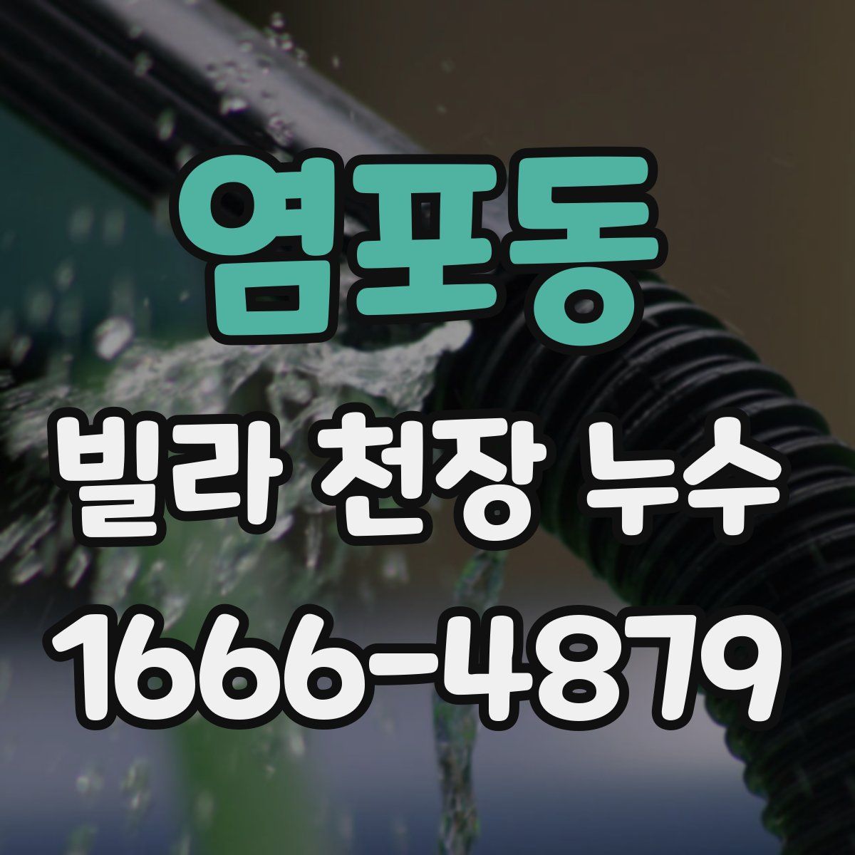 염포동 빌라 천장 누수