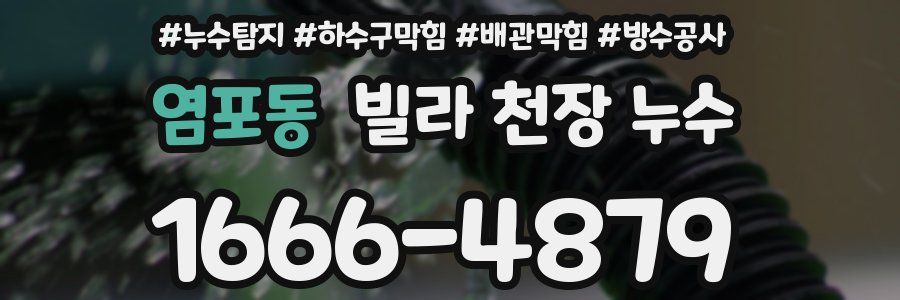 염포동 빌라 천장 누수