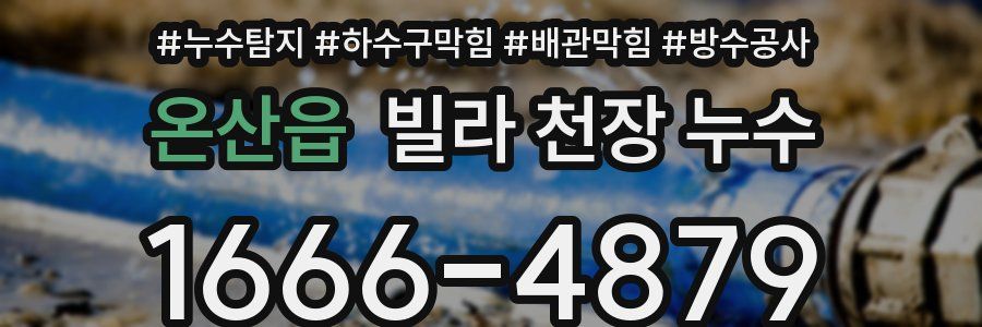 온산읍 빌라 천장 누수