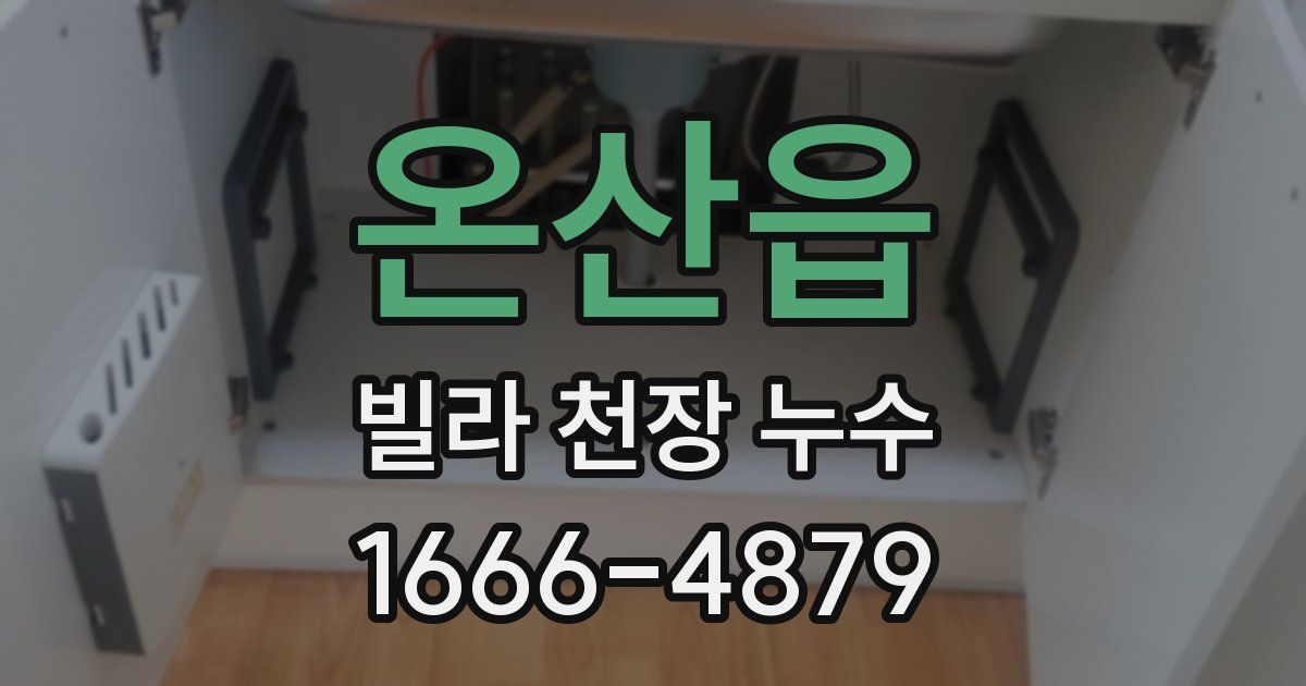 온산읍 빌라 천장 누수