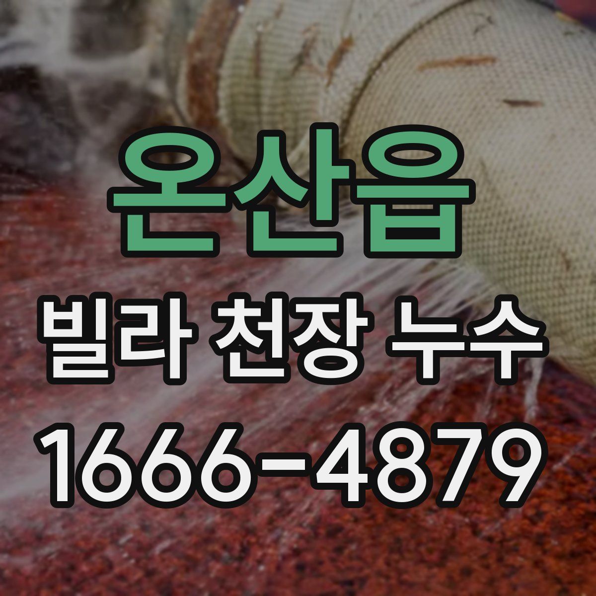 온산읍 빌라 천장 누수