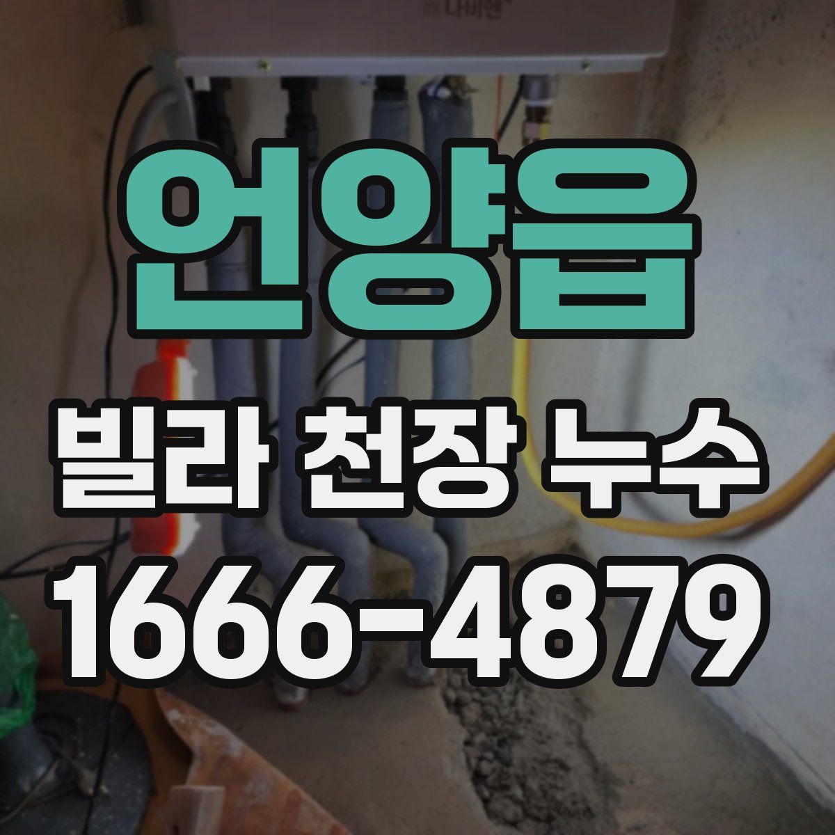 언양읍 빌라 천장 누수