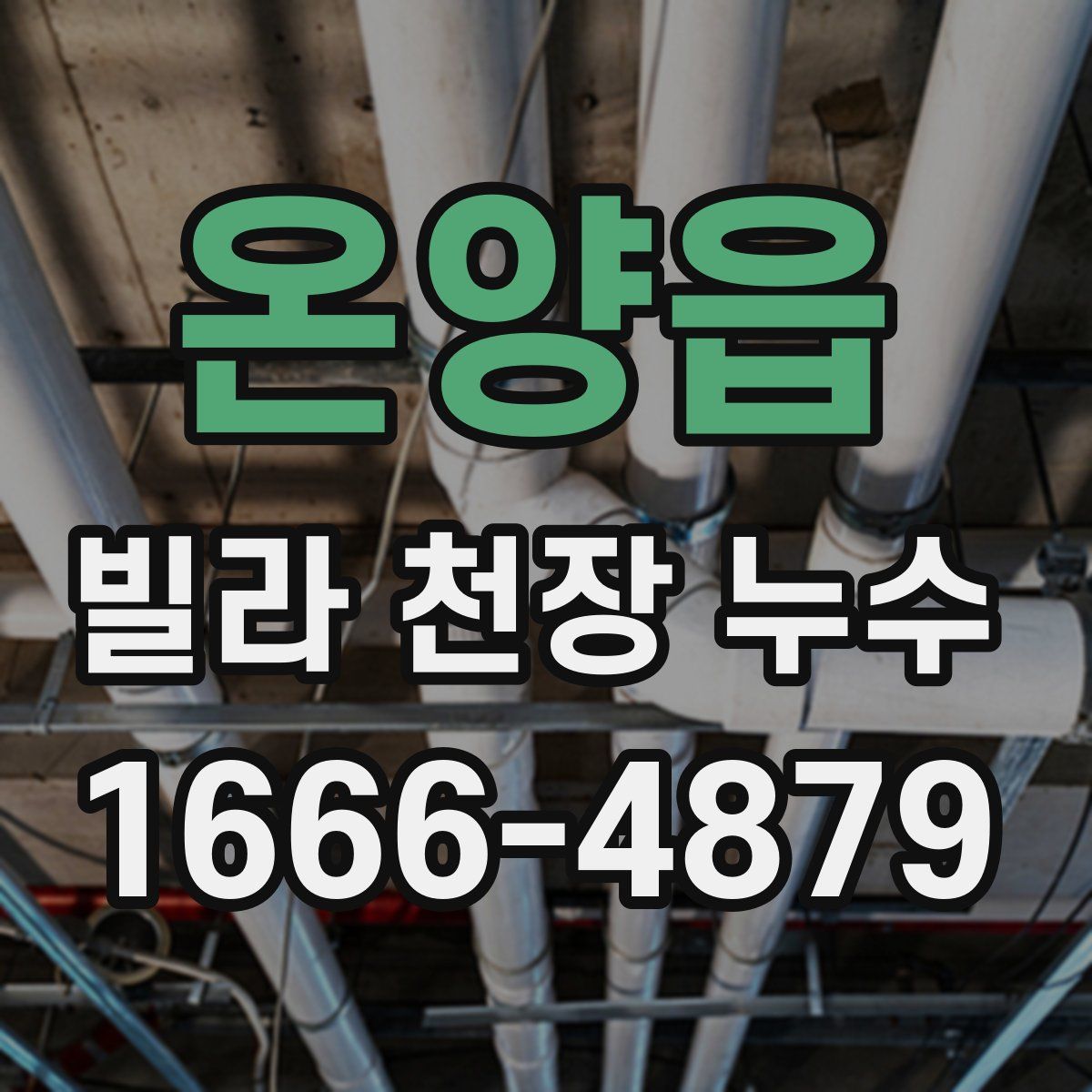 온양읍 빌라 천장 누수