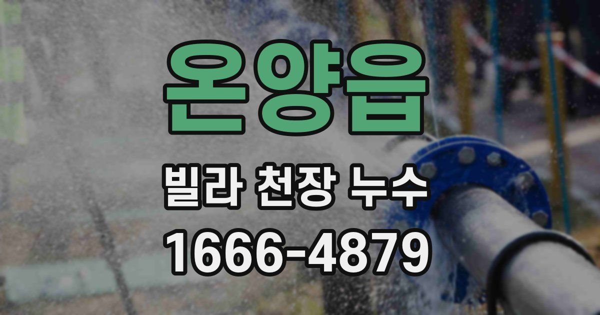 온양읍 빌라 천장 누수
