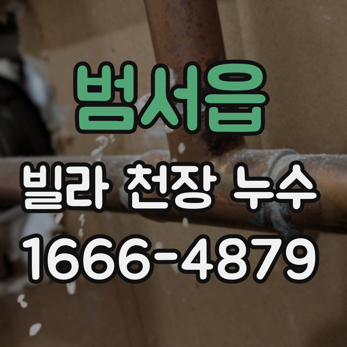 범서읍 빌라 천장 누수