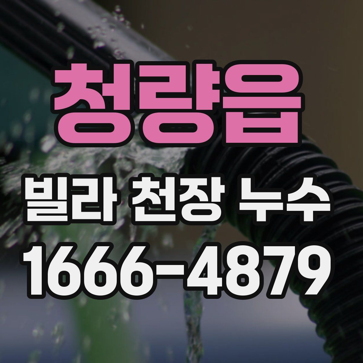 청량읍 빌라 천장 누수