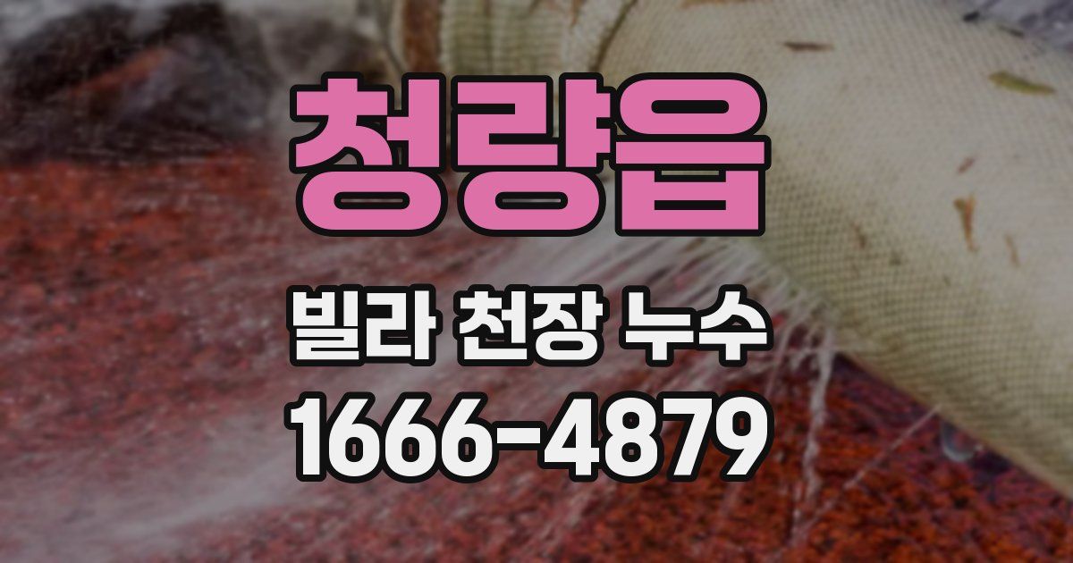 청량읍 빌라 천장 누수
