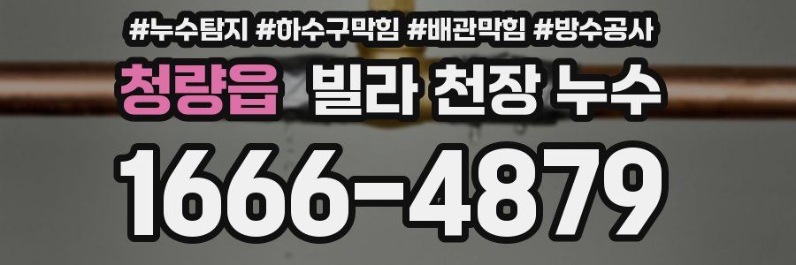청량읍 빌라 천장 누수
