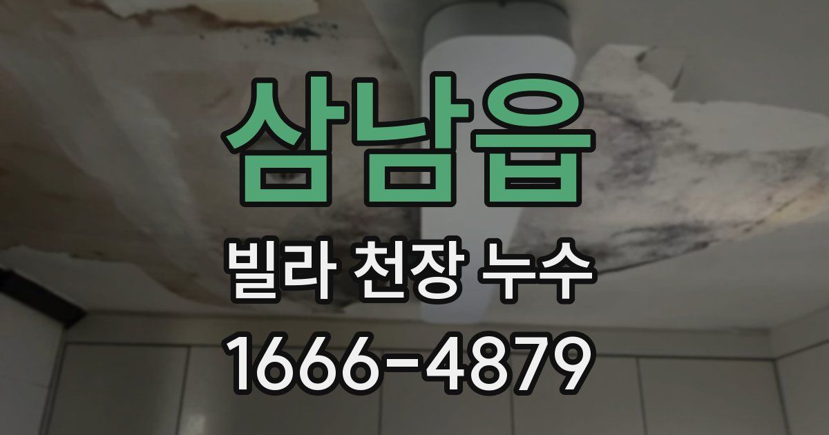 삼남읍 빌라 천장 누수
