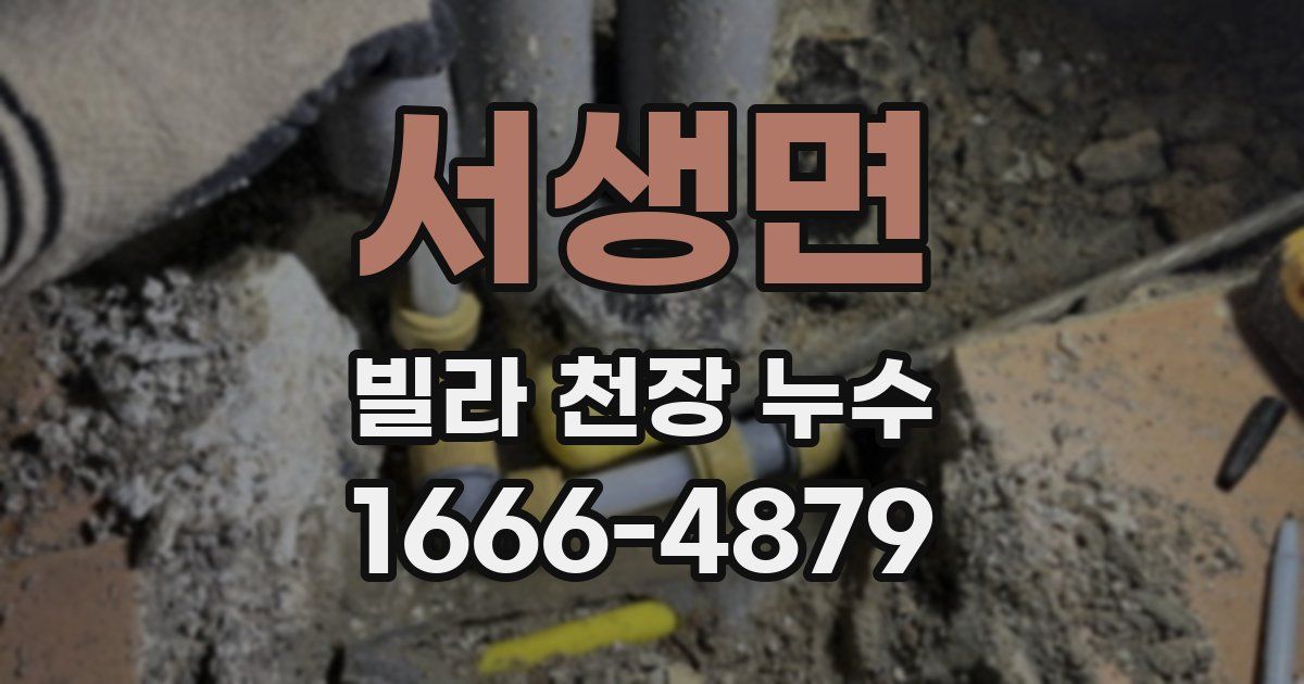 서생면 빌라 천장 누수