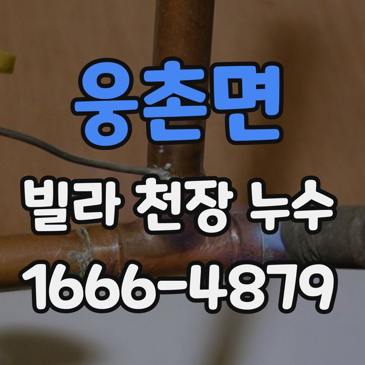 웅촌면 빌라 천장 누수