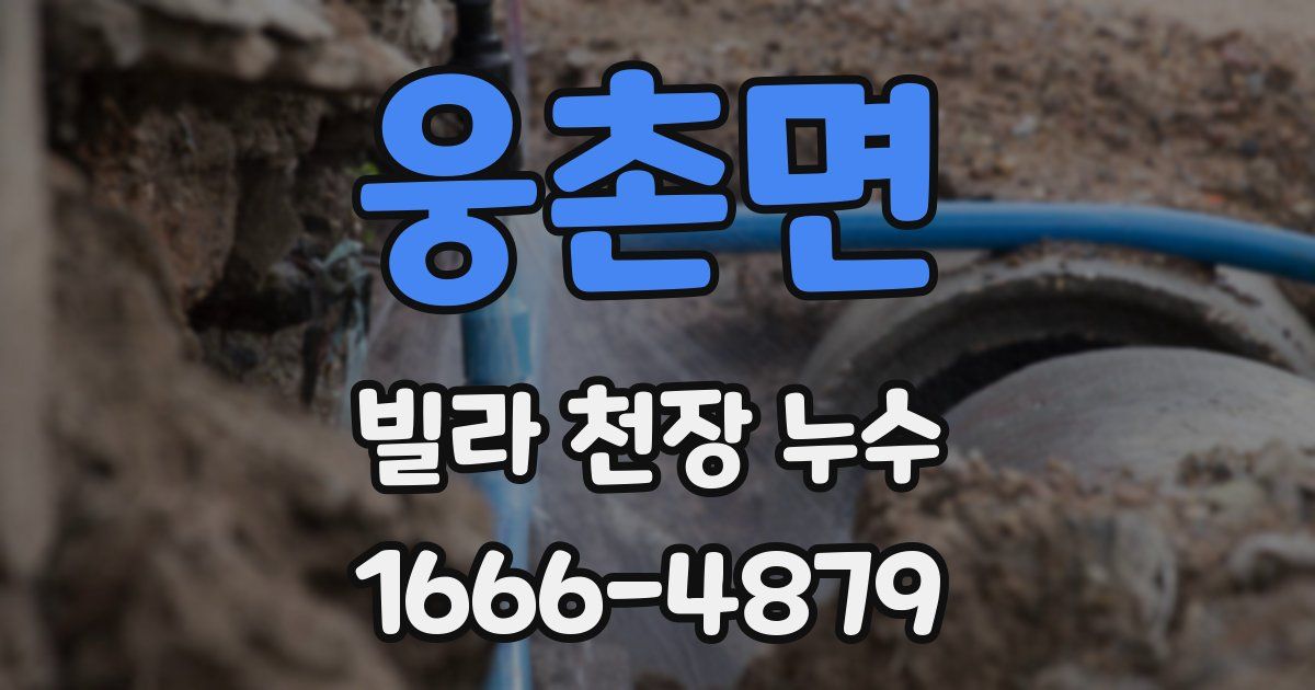 웅촌면 빌라 천장 누수