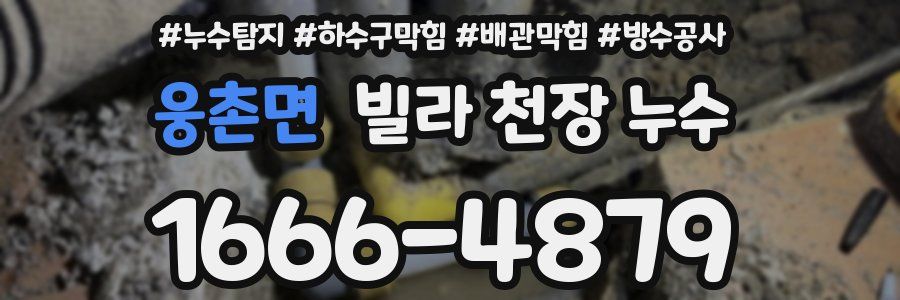 웅촌면 빌라 천장 누수