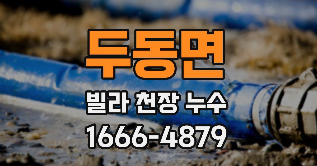 두동면 빌라 천장 누수