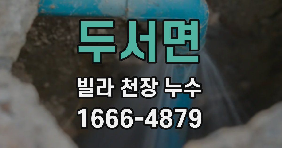 두서면 빌라 천장 누수