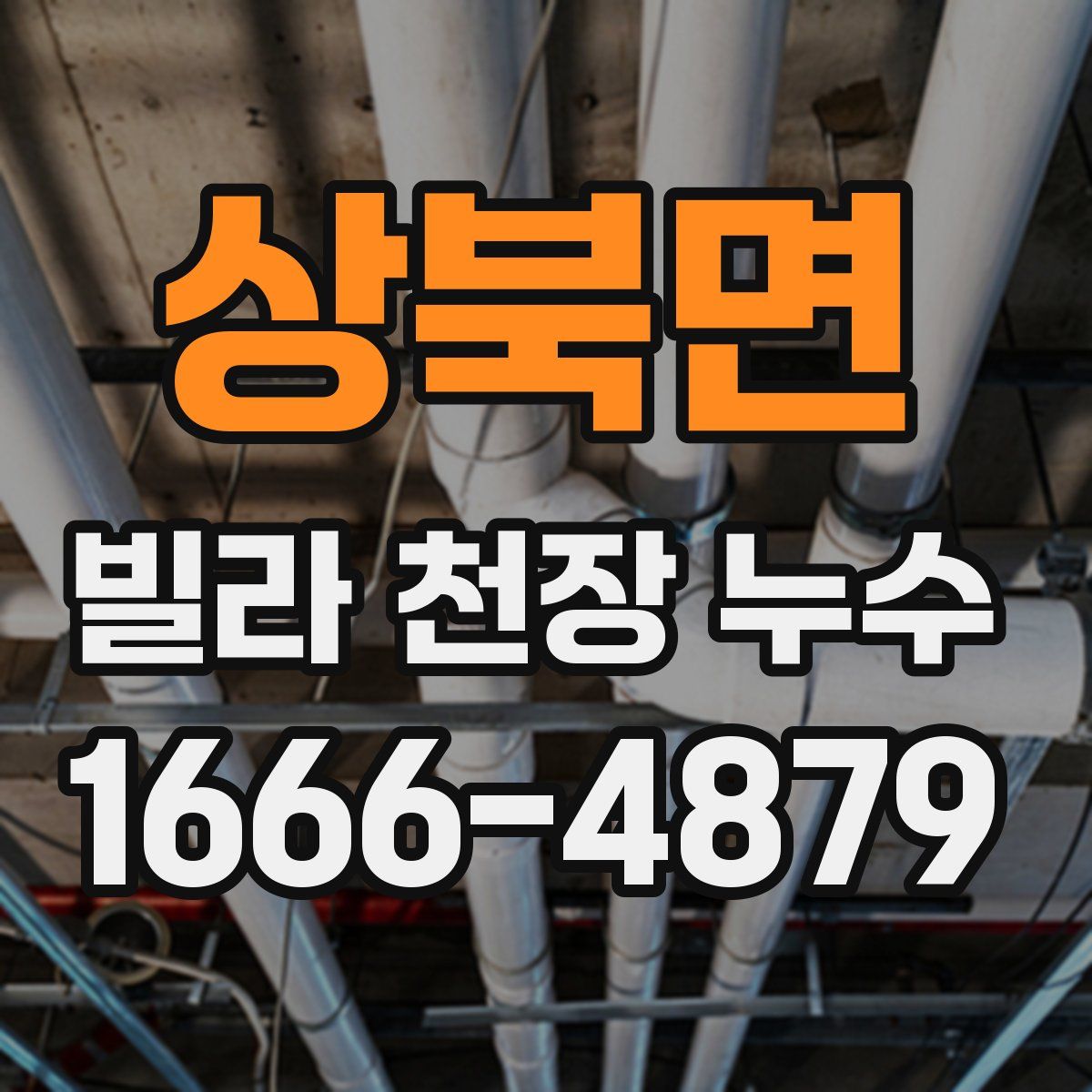 상북면 빌라 천장 누수