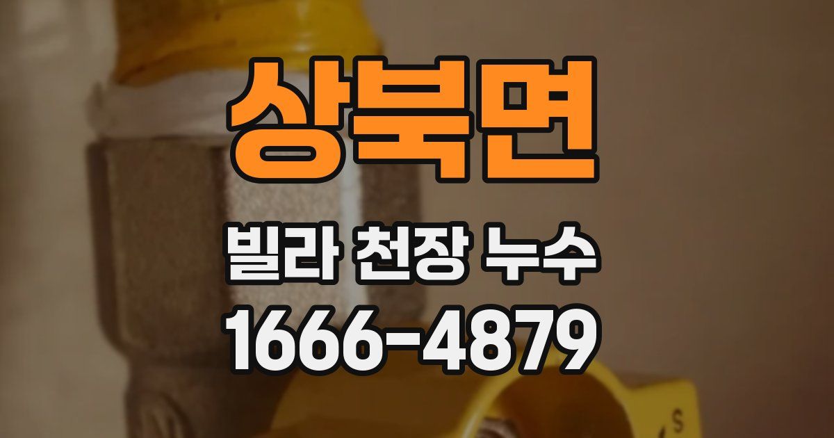 상북면 빌라 천장 누수