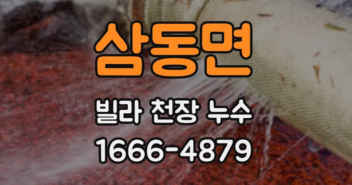 삼동면 빌라 천장 누수