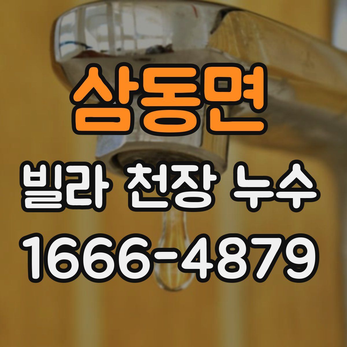 삼동면 빌라 천장 누수